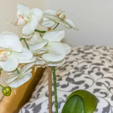 アパート La Campanella モデナ