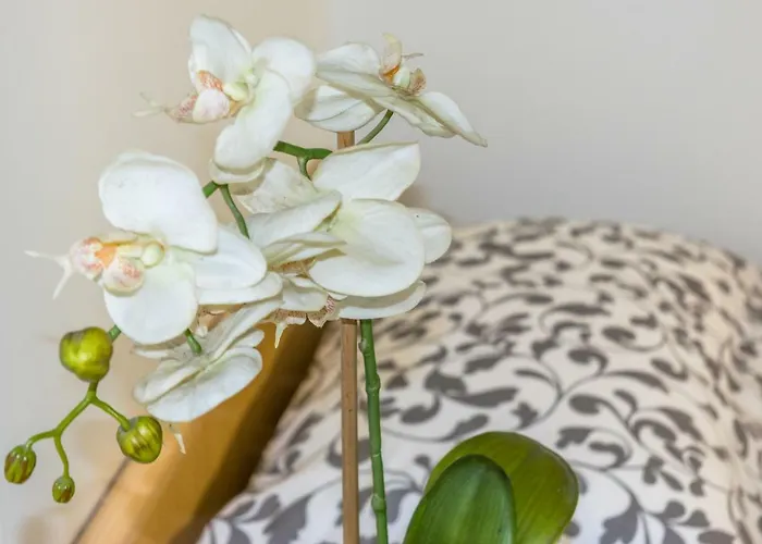 Appartement La Campanella Modène